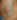My Gallery: Image