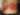 My Gallery: Image