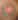 My Gallery: Image