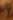 My Gallery: Image