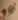 My Gallery: Image